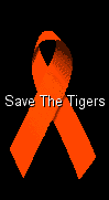 Save the Tigers